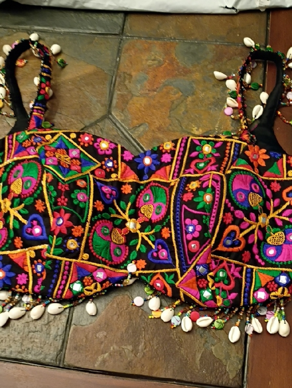 Black Multicolor Embroidered Crop Camisole with Shell Trim